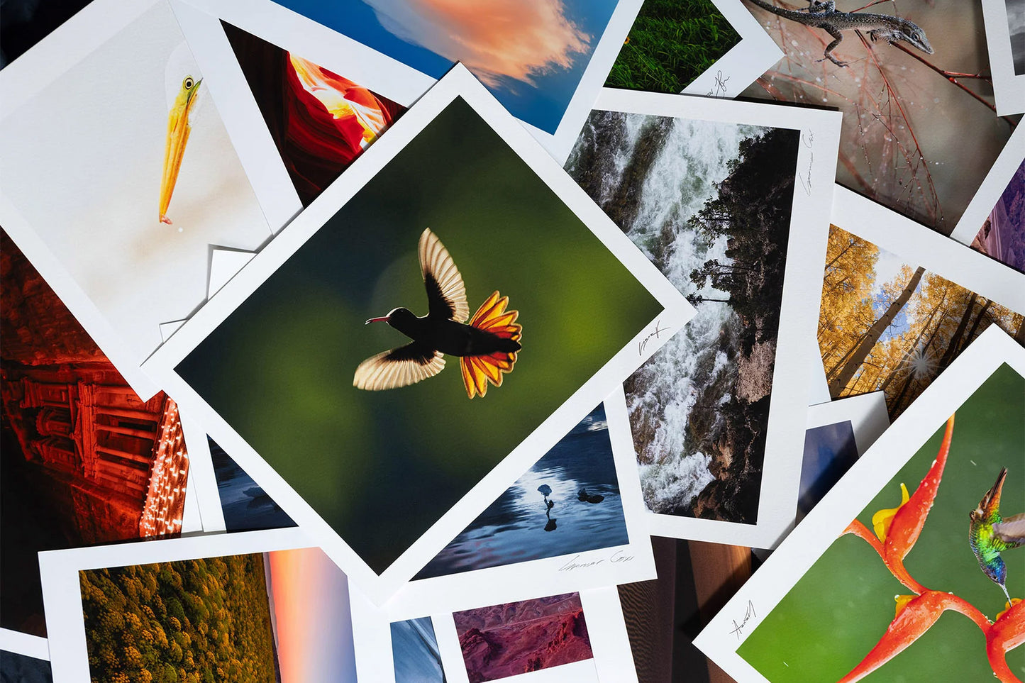Signature-Worthy Proofs
